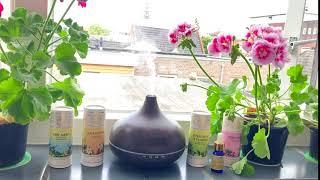 Divine Aroma Ayurvedic Aromatherapy