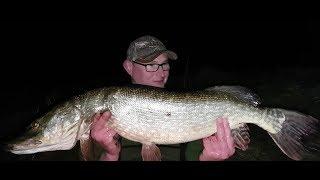 River Ribble Monster Pike and Chub