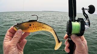 Fish Crushed This Bucktail Alternative - Wish I'd Tried it Sooner!