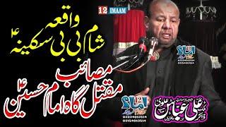 Zakir Ali Abbas Alvi | Majlis | Waqia Sham Bibi Sakina a.s | Masaib Imam Hussain a.s