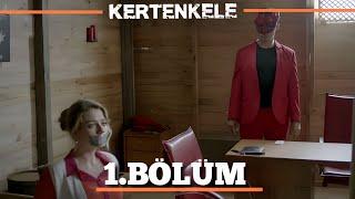 Kertenkele Yeniden Doğuş 1. Bölüm