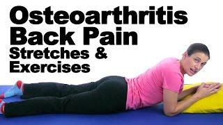 Osteoarthritis Back Pain Stretches & Exercises - Ask Doctor Jo