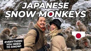 Japanese SNOW MONKEY Park | Winter trip to Nagano Japan vlog (EVERYTHING you need to know!)