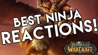 5 BEST Ninja Loot Reactions in World of Warcraft