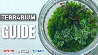 How to Create a Terrarium - Exclusively for BEGINNERS || Dutch Style Terrestrial version