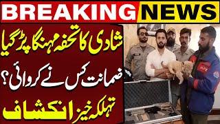 Rajab Butt Arrested Update | How Rajab Butt Gets Bail ? | Rajab Family | Capital TV