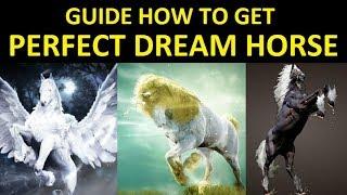 Get PERFECT Dream Horse Guide (100% Guarantee Learn All Skill) Crouser's Spirit Method