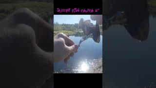 Щука на микроджиг #джиг #приманки #рыбалка #fishing #мормышинг #tanta