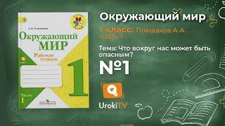 Задание 1 Что вокруг нас может быть опасным? - Окружающий мир 1 класс (Плешаков А.А.) 1 часть