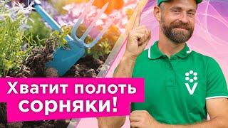 ПОЛОТЬ СОРНЯКИ ВОСПРЕЩАЕТСЯ в это время! Когда прополка - плохая идея и как быстро победить сорняки?