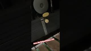 Technogym Selection Trizeps  Fitness Equipment