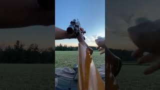 BSA monarch 30-06 long range 300yd shot