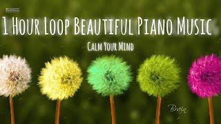 1 Hour Loop Beautiful Piano Music Relax and Sleep