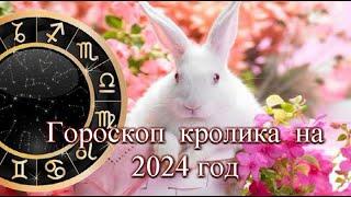 Гороскоп кролика (кота) на 2024 год