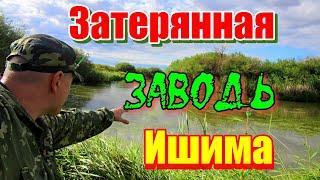 ЗАТЕРЯННАЯ ЗАВОДЬ ИШИМА!!! Река Ишим 2023. #рыбалка #казахстан #река #ишим #спиннинг