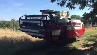 Yanmar CA750 kombájn próba aratás / harvest test