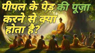 पीपल की पूजा। A.K insights storiyan inspired steam of Buddha bodhi thinkspy tru of life motivational