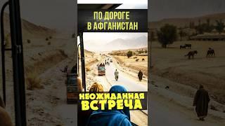 Кого только не встретишь по дороге в Афганистан  #афганистан #путешествие #автостоп