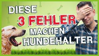 Diese 3 FEHLER machen 99 % aller Hundehalter!