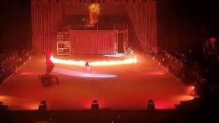 Disney on ice performance Motorpoint Arena 6:30 9/11/23 100 years of wonder