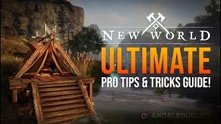 The Ultimate New or Returning New World Pro Tips and Tricks Guide 2024!