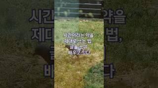 가을웅덩이 브런치 스토리 연재글 '조금 부족한 채로, 오늘도' #브런치스토리 #문제해결