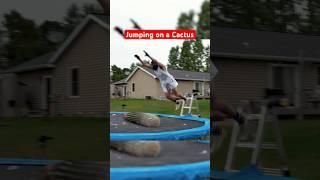 Belly Flopping on a 6 Foot Cactus… #funny #experiment #fail