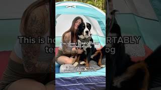 How I camp comfortably with my dog! ️ #dogshorts #campingwithdogs #tenting #campinggear #dogs