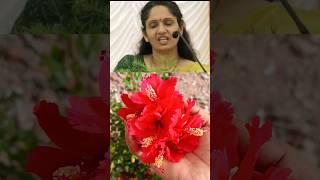 Morning breakfast is very very important #tips #shorts #tamil #healthy #healthtip #trending
