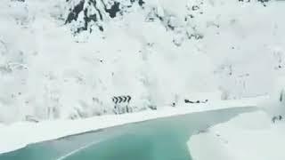 Гузал хайот