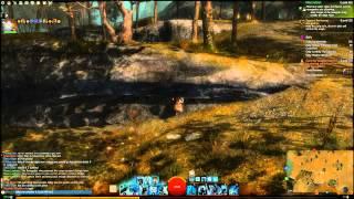 Live in Guild Wars 2 - Scyfo on J Peterman