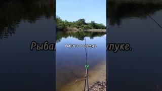 Рыбалка на Бузулуке. #fishing