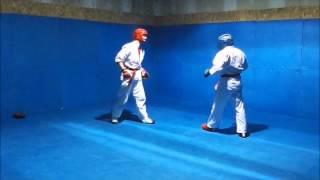 ARB sparring combinations