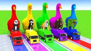 5 Giant Duck Cartoon,Cow,Elephant,Tiger,Lion,Dinosaur,Paint Wild Animals Crossing Fountain Animation