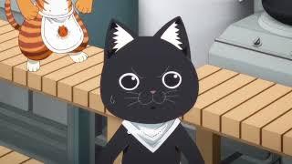 This Cats Serving Up Delicious Food?? Anime Review - Underrated Show To Watch