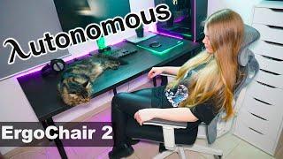 Лучшее кресло для компьютера - Autonomous ErgoChair 2