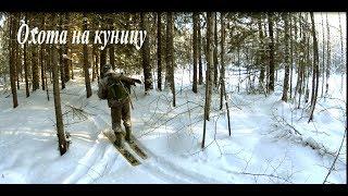 Охота на куницу// Проверка капканов Hunting for martens // Check traps