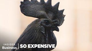 Why Ayam Cemani Chickens Are So Expensive | So Expensive | Insider Business