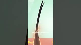 BSK9 HAIRPRO – Revitalize and Strengthen Your Hair