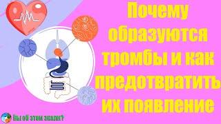 Почему образуются тромбы и как предотвратить их появление