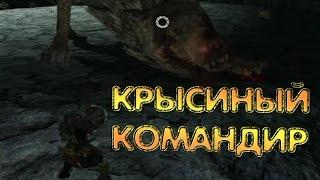 Dark Souls 2. БОСС 10 [Командир крысиной гвардии]