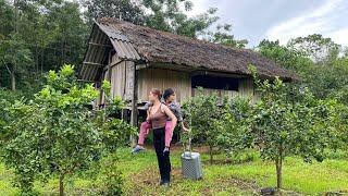 Girl and mother return to old house - horribly harmed by creditors.....?