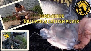 Toms Creek Lelystad. Big Game-  en Meerval vijver met Hans en Remo. Vandaag  ook drone beelden.