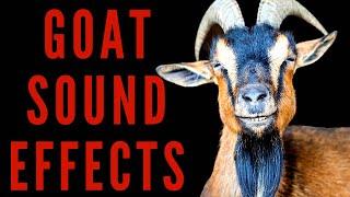 GOAT SOUND EFFECTS - Goat Sounds