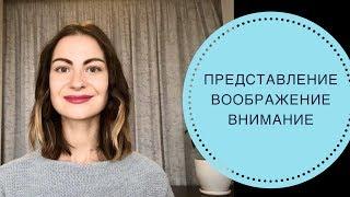 ПОЗНАВАТЕЛЬНЫЕ ПСИХИЧЕСКИЕ ПРОЦЕССЫ: ПРЕСТАВЛЕНИЕ / ВООБРАЖЕНИЕ / ВНИМАНИЕ