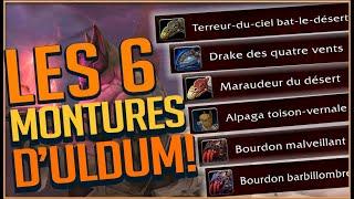 LES 6 MONTURES D'ULDUM DU PATCH 8.3 !