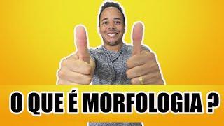 O QUE É MORFOLOGIA ?