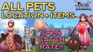 PET CATCHING GUIDE: 100% SUCCESS RATE!! | Ragnarok Mobile Eternal Love