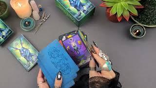 Lepus Tarot Luxury Edition