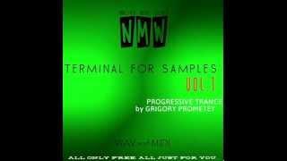 NMW - Terminal For Samples Vol.1/Progressive Trance by Grigory Prometey